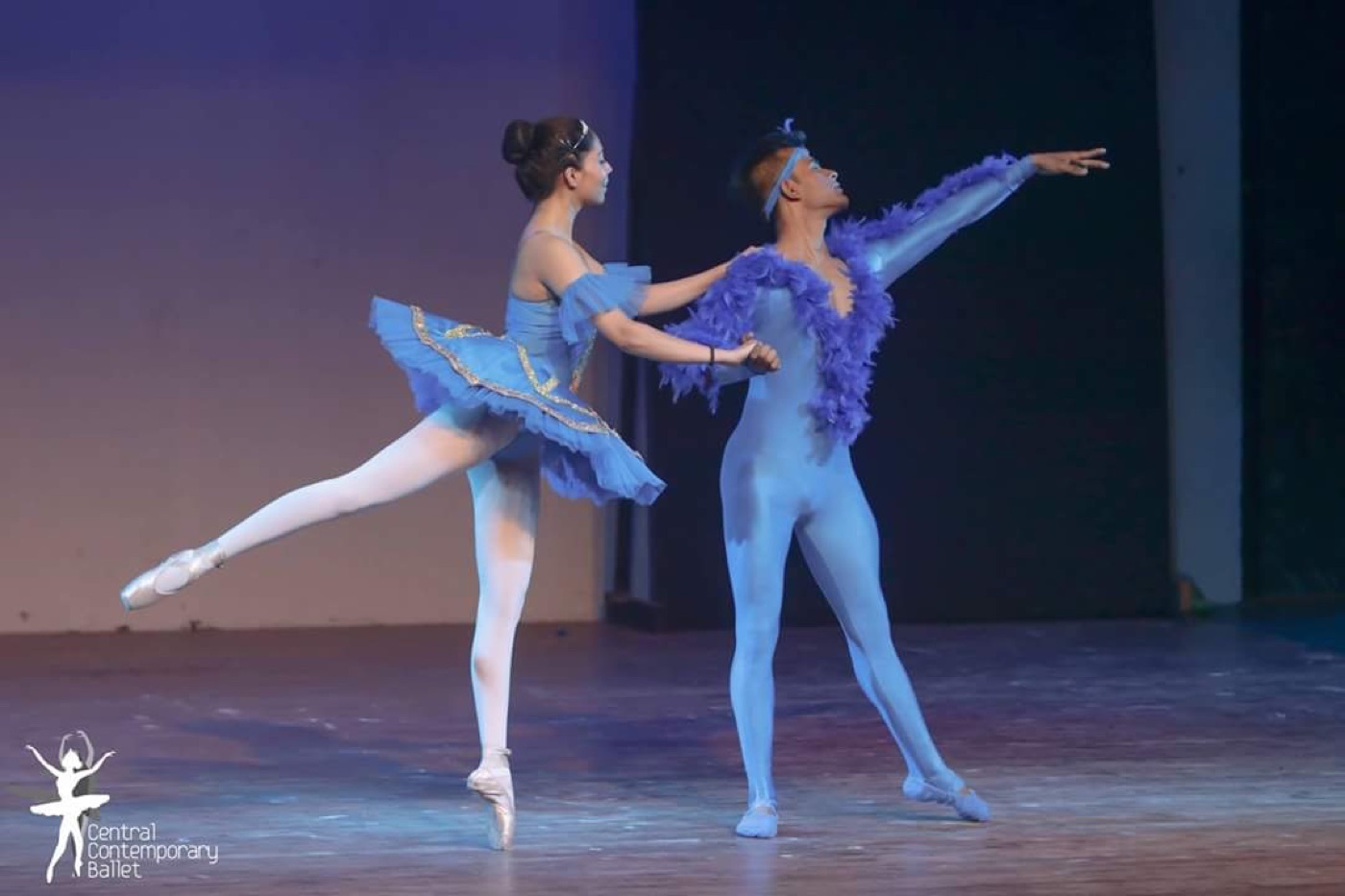 Ballet dancers performing together on stage
